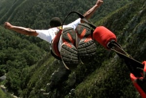 Vanuit Kaapstad: 5-daagse Best of Garden Route en Addo Safari