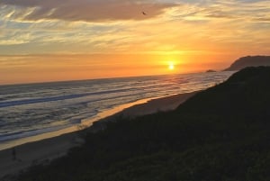 Vanuit Kaapstad: 5-daagse Best of Garden Route en Addo Safari