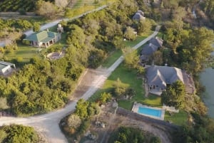 Vanuit Kaapstad: 5-daagse Best of Garden Route en Addo Safari