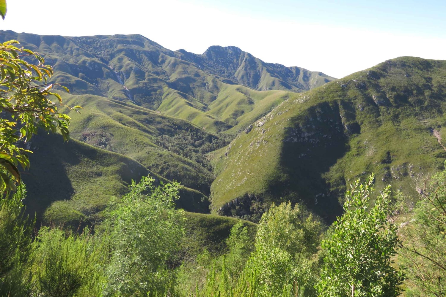 Desde Ciudad del Cabo: Recorrido de 5 días por la Ruta Jardín y el Parque de Elefantes de Addo
