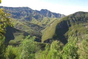 Desde Ciudad del Cabo: Recorrido de 5 días por la Ruta Jardín y el Parque de Elefantes de Addo