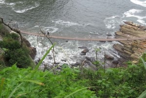 Desde Ciudad del Cabo: Recorrido de 5 días por la Ruta Jardín y el Parque de Elefantes de Addo