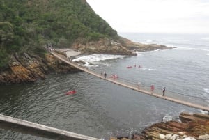 Desde Ciudad del Cabo: Recorrido de 5 días por la Ruta Jardín y el Parque de Elefantes de Addo