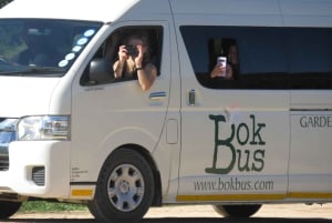 Desde Ciudad del Cabo: Recorrido de 5 días por la Ruta Jardín y el Parque de Elefantes de Addo