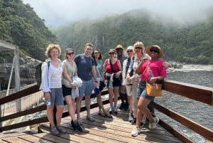 Desde Ciudad del Cabo: Recorrido de 5 días por la Ruta Jardín y el Parque de Elefantes de Addo