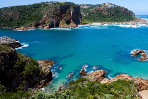 Vanuit Kaapstad: 7-daagse Garden Route, Addo en Winelands Combo