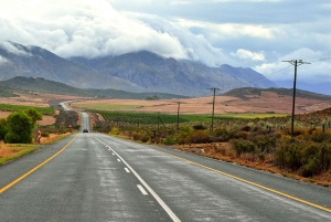 Vanuit Kaapstad: 7-daagse Garden Route, Addo en Winelands Combo