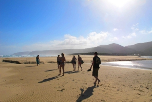 Vanuit Kaapstad: 7-daagse Garden Route, Addo en Winelands Combo