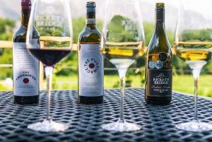 Vanuit Kaapstad: 7-daagse Garden Route, Addo en Winelands Combo