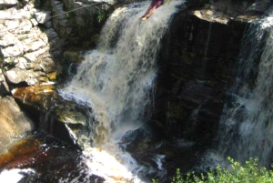 Vanuit Kaapstad: 7-daagse Garden Route, Addo en Winelands Combo