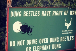 Vanuit Kaapstad: 7-daagse Garden Route, Addo en Winelands Combo