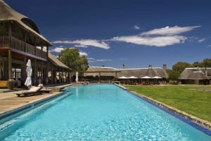From Cape Town: Aquila Game Reserve 2-Day Safari Experience