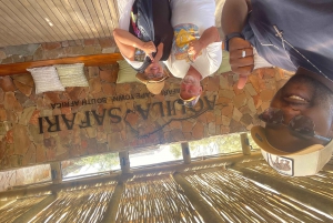 SAFARI: Ciudad del Cabo, Aquila Big 5 y almuerzo (servicio de recogida del hotel incluido).