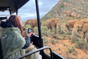 ケープタウン発：アクイラ保護区終日往復送迎