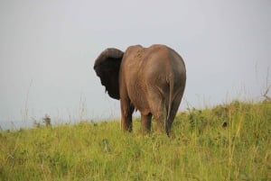 ケープタウン発：アクイラ保護区終日往復送迎