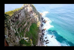 From Cape Town: Best of Cape Private Tour with Wine Tastings
