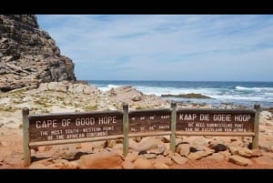 Fra Cape Town: Privat rundtur i Cape med vinsmagninger