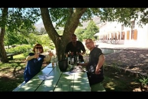 Från Kapstaden: privat rundtur i Kapstaden med vinprovningar