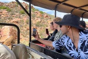 Från Kapstaden: Big Five Safari-upplevelse med lunch