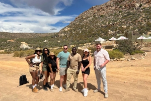 Från Kapstaden: Big Five Safari-upplevelse med lunch