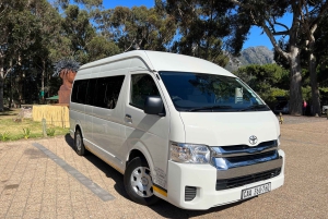 Från Kapstaden: Big Five Safari-upplevelse med lunch