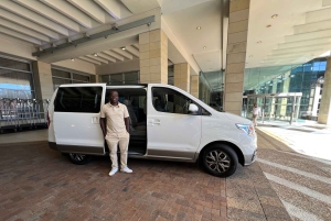 Från Kapstaden: Big Five Safari-upplevelse med lunch