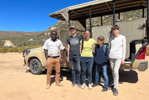 Från Kapstaden: Big Five Safari-upplevelse med lunch