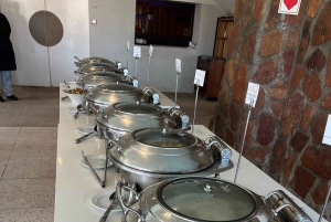 Från Kapstaden: Big Five Safari-upplevelse med lunch