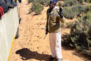 Från Kapstaden: Big Five Safari-upplevelse med lunch