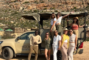 Från Kapstaden: Big Five Safari-upplevelse med lunch