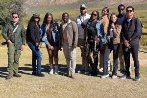 Från Kapstaden: Big Five Safari-upplevelse med lunch