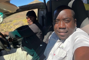 Från Kapstaden: Big Five Safari-upplevelse med lunch