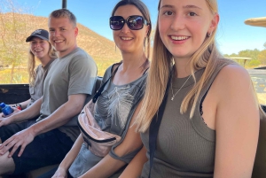 Från Kapstaden: Big Five Safari-upplevelse med lunch