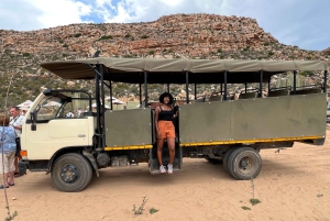 Från Kapstaden: Big Five Safari-upplevelse med lunch