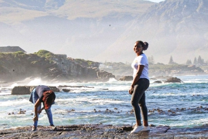 Cape Agulhas, Hermanus & Stoney Point Penguins heldagstur