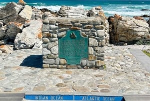 From Cape Town: Cape Agulhas, Penguins, Wine Tasting Tour