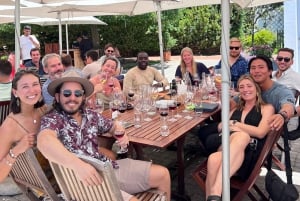 From Cape Town: Cape Agulhas, Penguins, Wine Tasting Tour