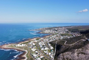 From Cape Town: Cape Agulhas, Penguins, Wine Tasting Tour