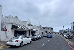 From Cape Town: Cape Agulhas, Penguins, Wine Tasting Tour