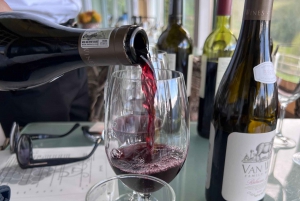 From Cape Town: Cape Agulhas, Penguins, Wine Tasting Tour