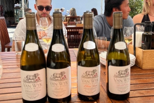 From Cape Town: Cape Agulhas, Penguins, Wine Tasting Tour