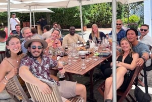 Au départ du Cap : Cap Agulhas, pingouins, dégustation de vin