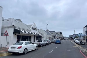Au départ du Cap : Cap Agulhas, pingouins, dégustation de vin