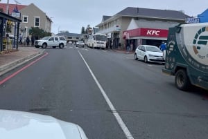 Au départ du Cap : Cap Agulhas, pingouins, dégustation de vin