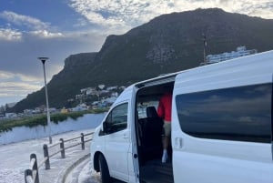 Au départ du Cap : Cap Agulhas, pingouins, dégustation de vin