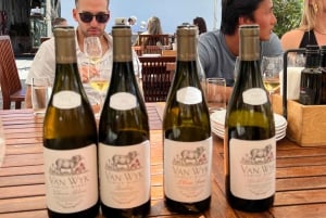 Au départ du Cap : Cap Agulhas, pingouins, dégustation de vin