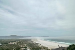 Från Kapstaden: Godahoppsudden och Penguins Shared Tour