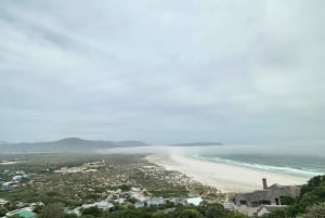 Da Cidade do Cabo: Excursão Compartilhada Cabo da Boa Esperança e Pinguins