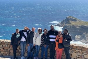 Cape Town: Kap Det Gode Håb og pingviner - heldagstur med guide