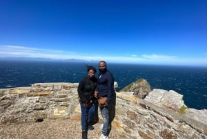 Da Città del Capo: tour condiviso del Capo di Buona Speranza e dei Pinguini
